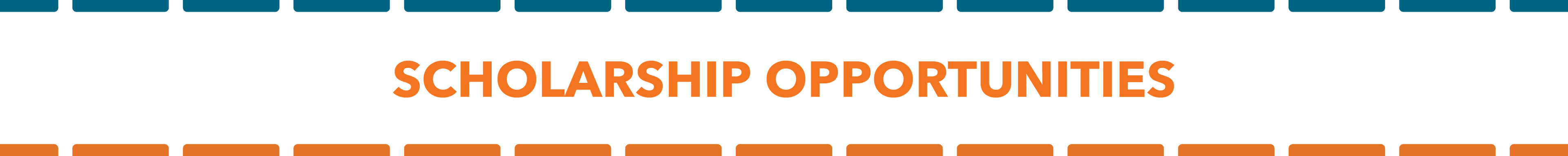 scholarship opportunities